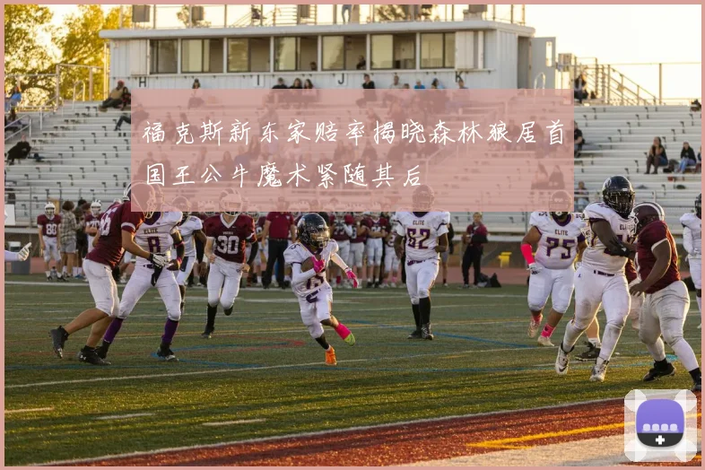 福克斯新东家赔率揭晓森林狼居首国王公牛魔术紧随其后