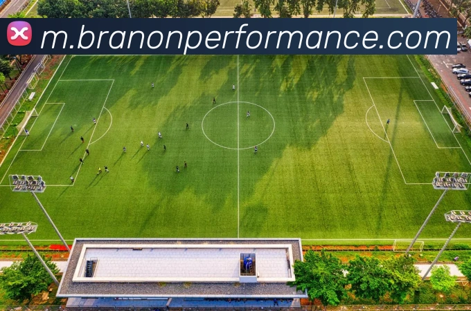 奖项证书